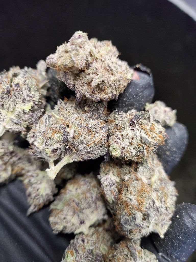 A handful of dried, trimmed cannabis buds with visible orange pistils