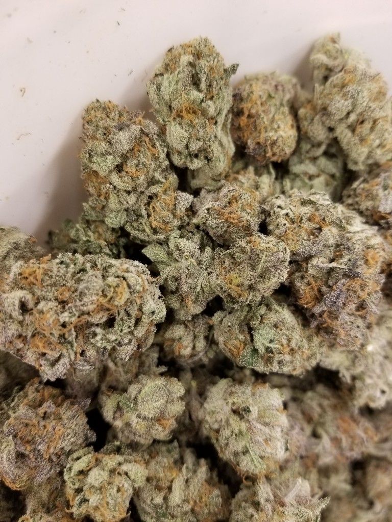 A white bowl filled with trimmed cannabis buds